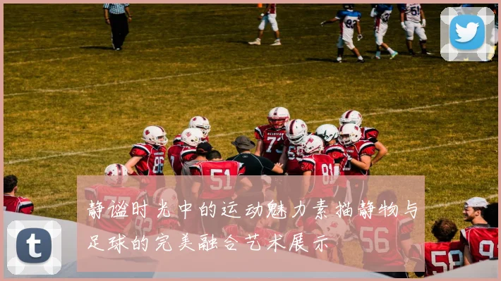 静谧时光中的运动魅力素描静物与足球的完美融合艺术展示