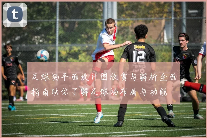 足球场平面设计图欣赏与解析全面指南助你了解足球场布局与功能